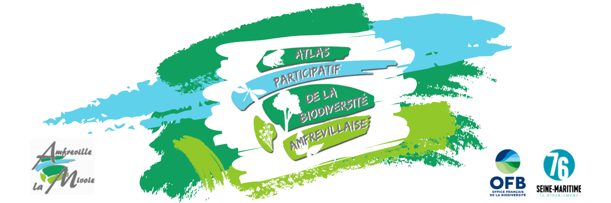 Atlas Participatif de la Biodiversité Amfrevillaise